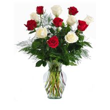 send 6 red & 6 white roses In a vase to dhaka